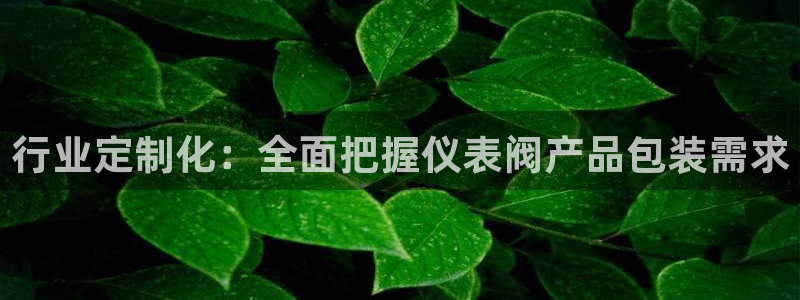 新宝gg奇迹