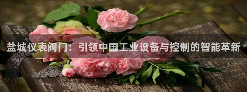 谁有新宝GG