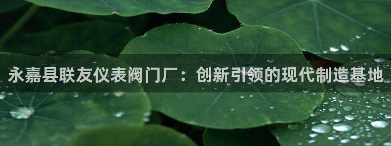 新宝gg赚钱