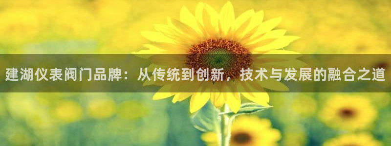 新宝gg群