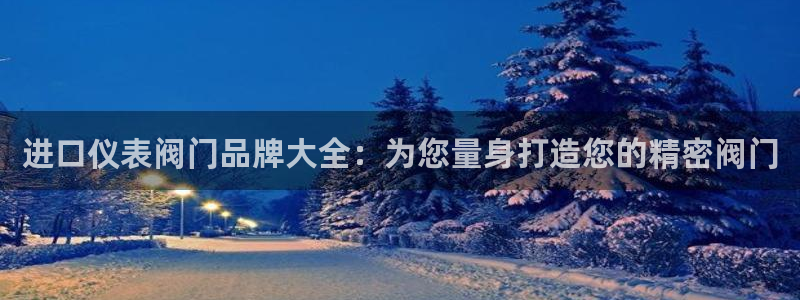 新宝gg计划