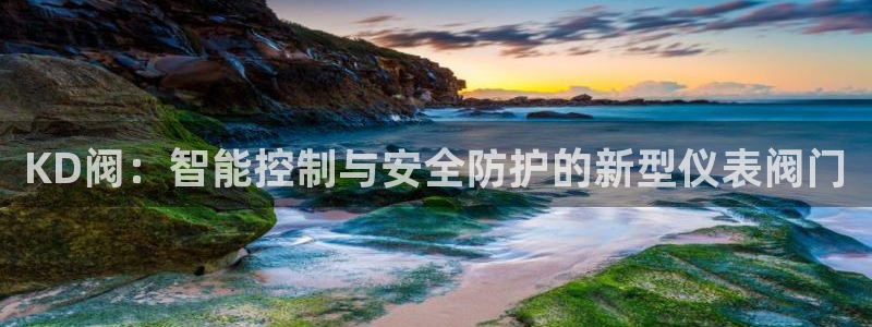 新宝gg反水