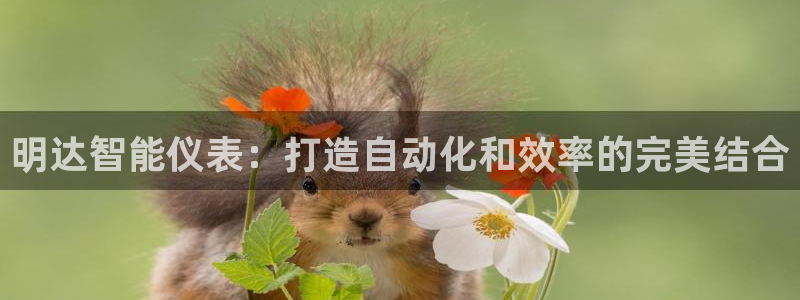 新宝gg手机app