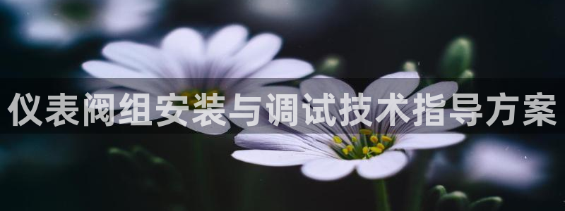 新宝gg手机助手