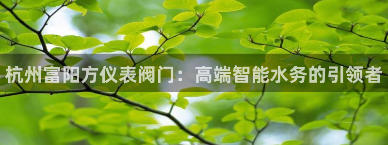 新宝gg传奇