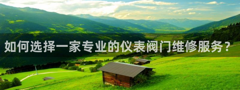 新宝gg盈亏