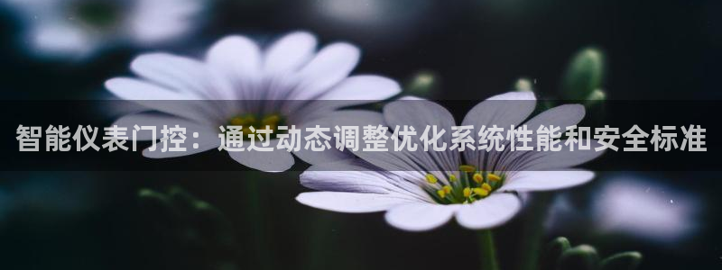 新宝GG最高返点多少