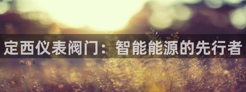 新宝gg总部