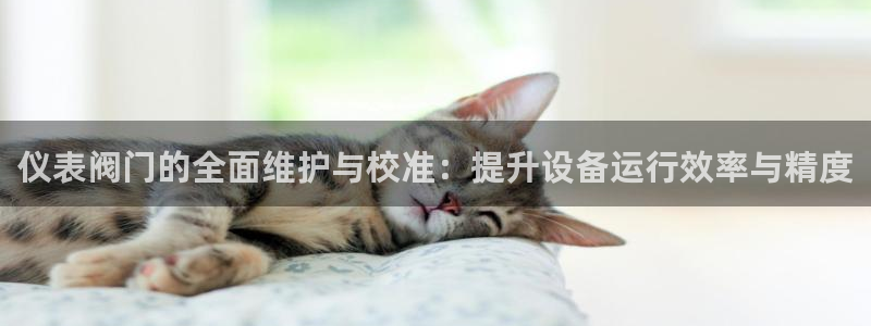新宝gg 登陆