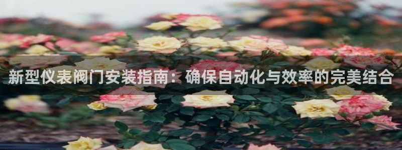 c新宝GG