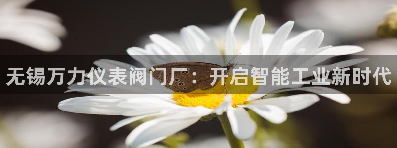 新宝gg 金苹果