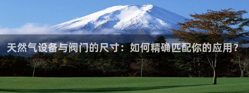 谁有新宝GG