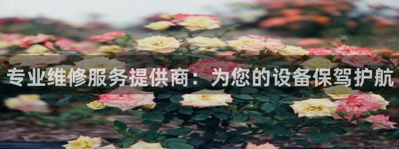 新宝gg游戏