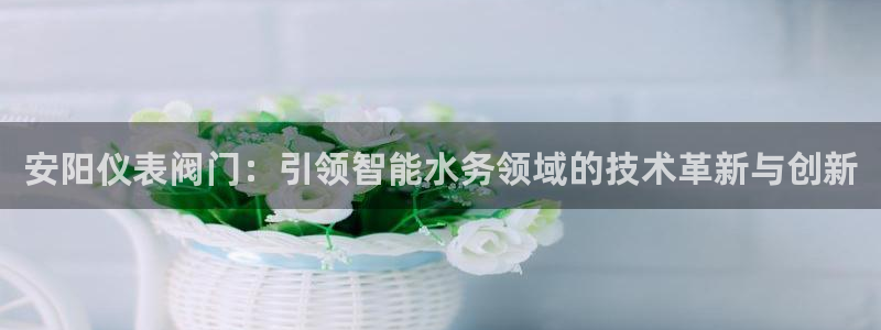 广东新宝电器gg