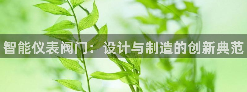 新宝GG创业奇迹