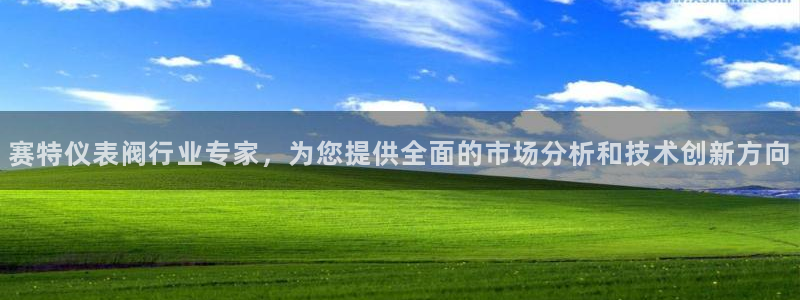 新宝给gg