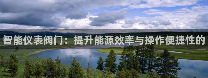 认准新宝gg