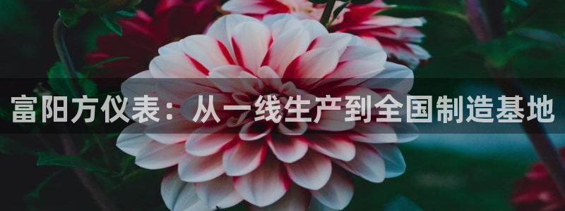 新宝gg登陆