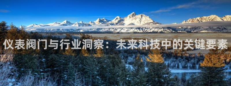 新宝gg手机版下载