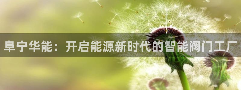 新宝gg平台连接