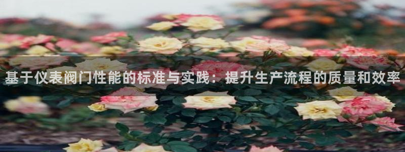 新宝gg如何赚钱