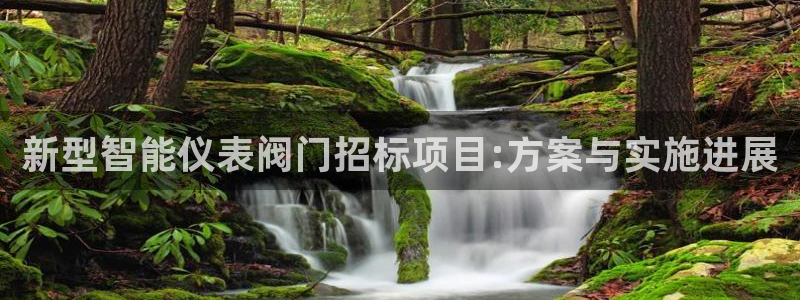 新宝gg漏洞