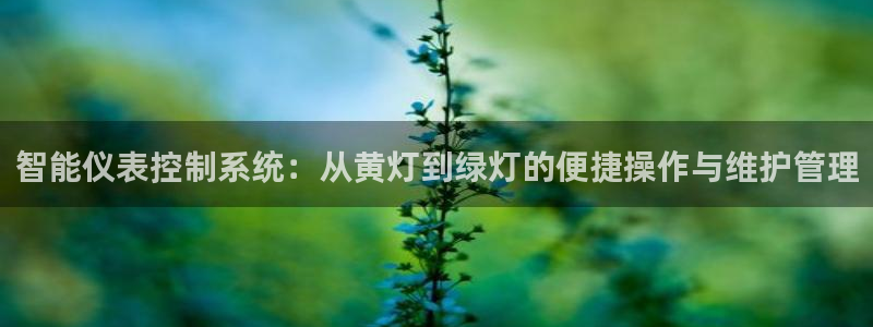新宝gg 首页