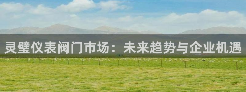 新宝gg画