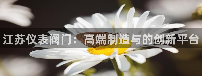 新宝gg 创