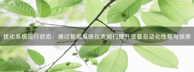 新宝gg官方主管