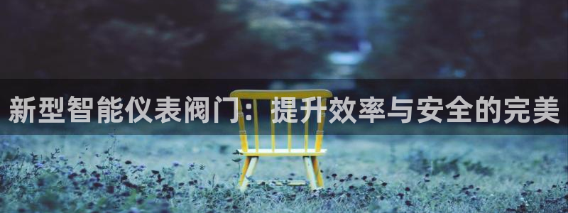 新宝 gg 总代理