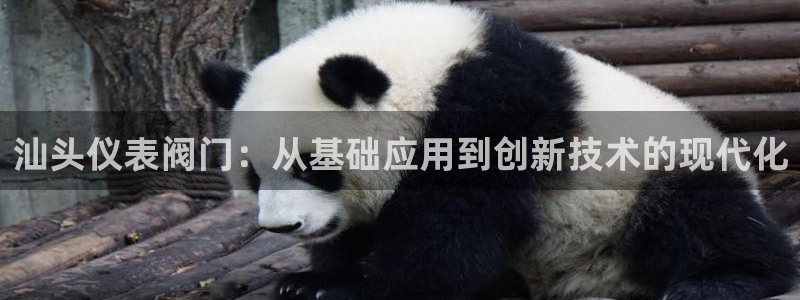 新宝gg注册jhjinde