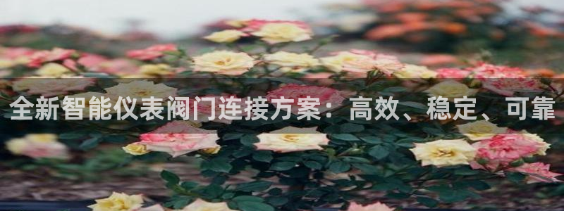新宝gg在哪开户