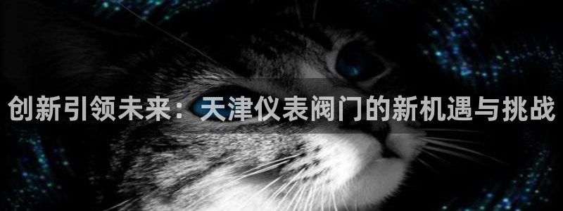 网站是新宝gg