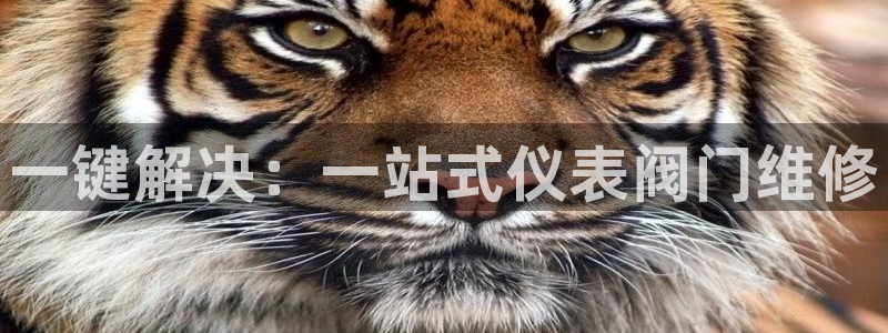 【新宝gg】