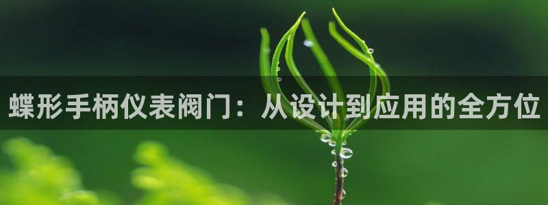 新宝gg入口网址