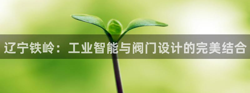 新宝gg 开户