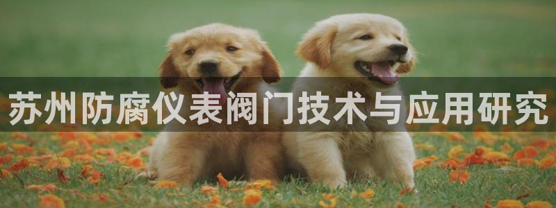 新宝gg指定平台