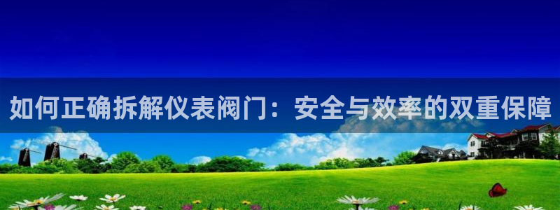 新宝gg代理