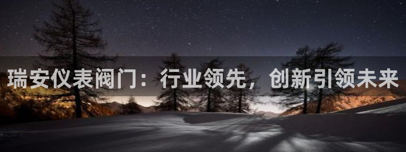 11新宝gg