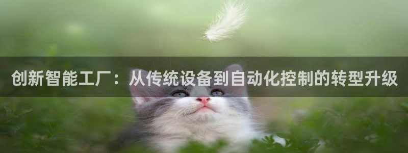 新宝gg软件