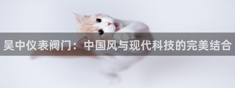 新宝gg提点