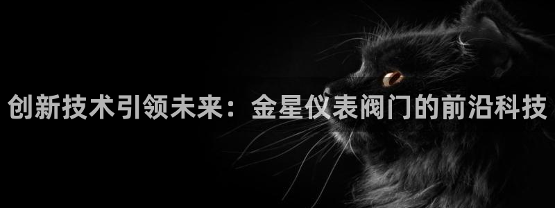 新宝gg平台连接