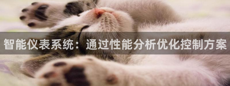 新宝gg维护