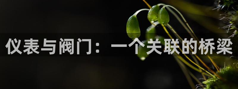 新宝gg代理条件