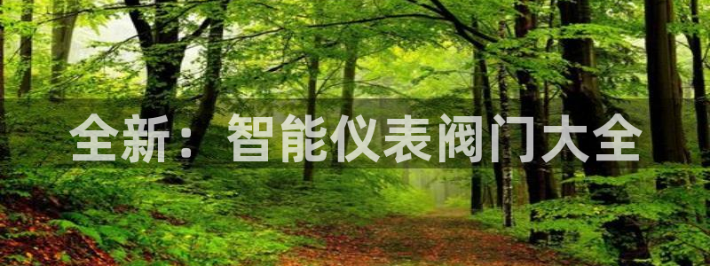 创造奇迹新宝gg