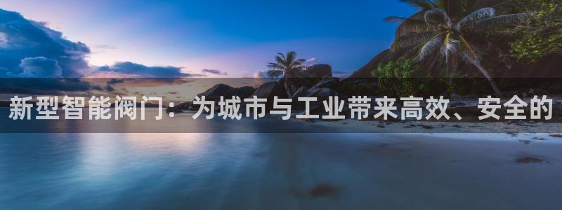 新宝gg是什么
