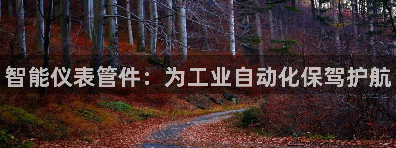 新宝gg娱乐首页