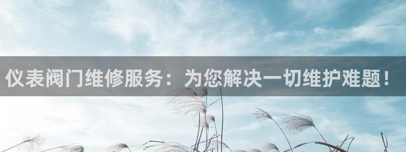 新宝gg客户端下载