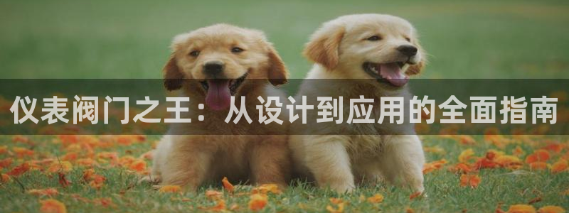 新宝gg平台开发